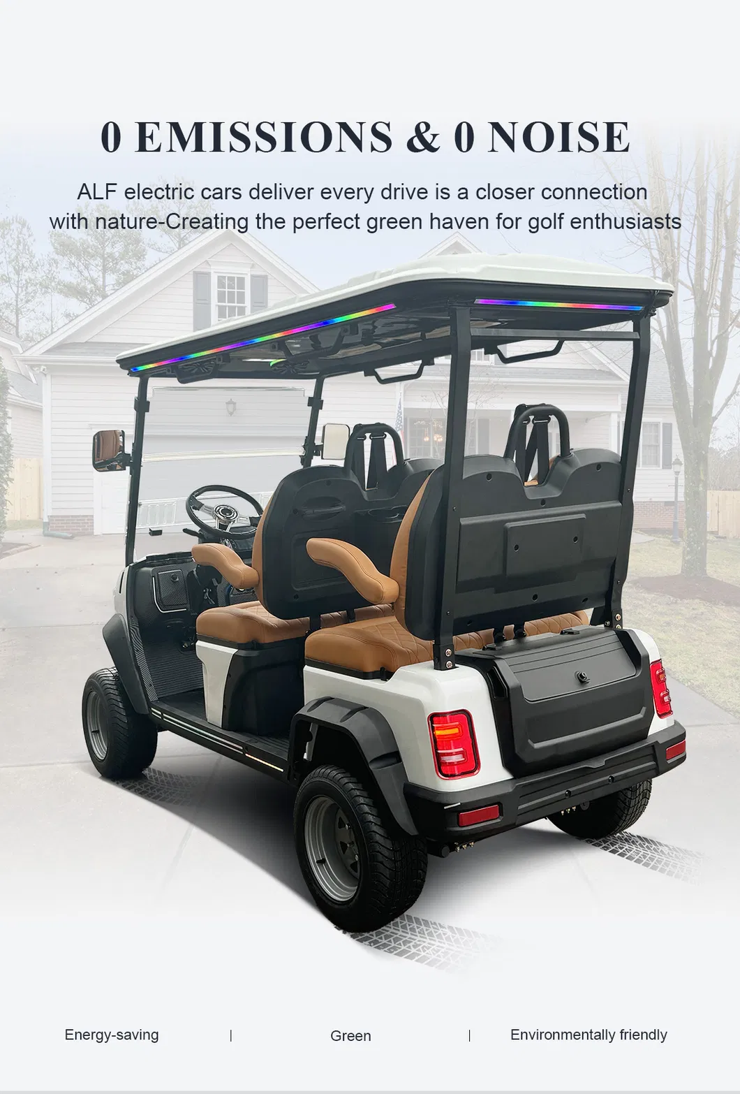 Electric Golf Cart View 5