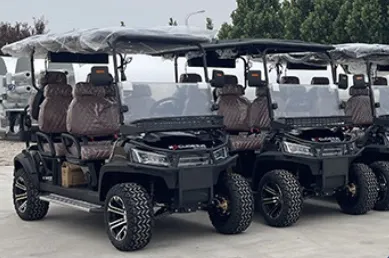 Quality Inspection 1