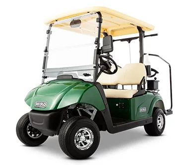 2 Seats Electric Vehicle