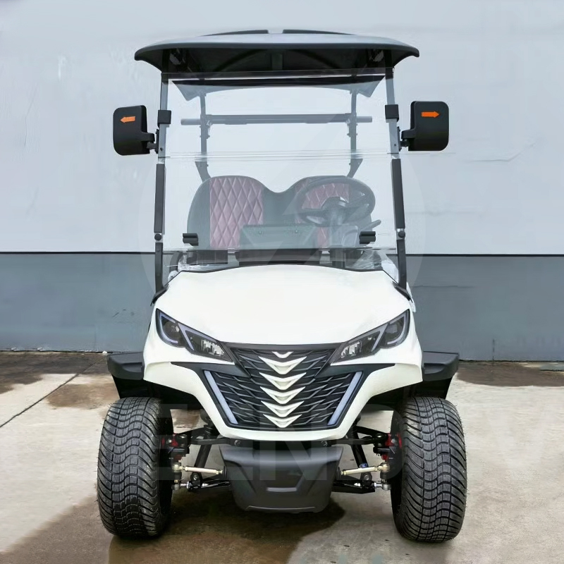 China Luxury 2 Seater Electric Utility Vehicle Custom Design Golf Cart