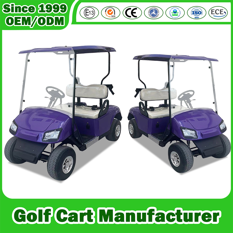 China Golf Cart Manfuacturer Electric Gasoline Gas Petrol Lifted Lithium/Lead Acid Battery Offroad 2/4/6/8 Seat/Seater/Passenger Hunting Lsv Sightseeing Cart CE