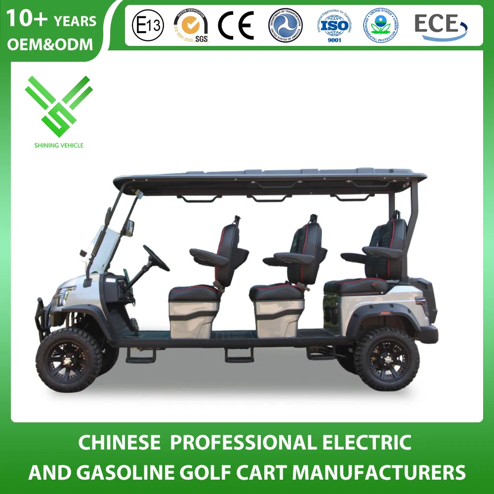 Shininglsv China Imported Advanced Luxury Custom Golf Cart