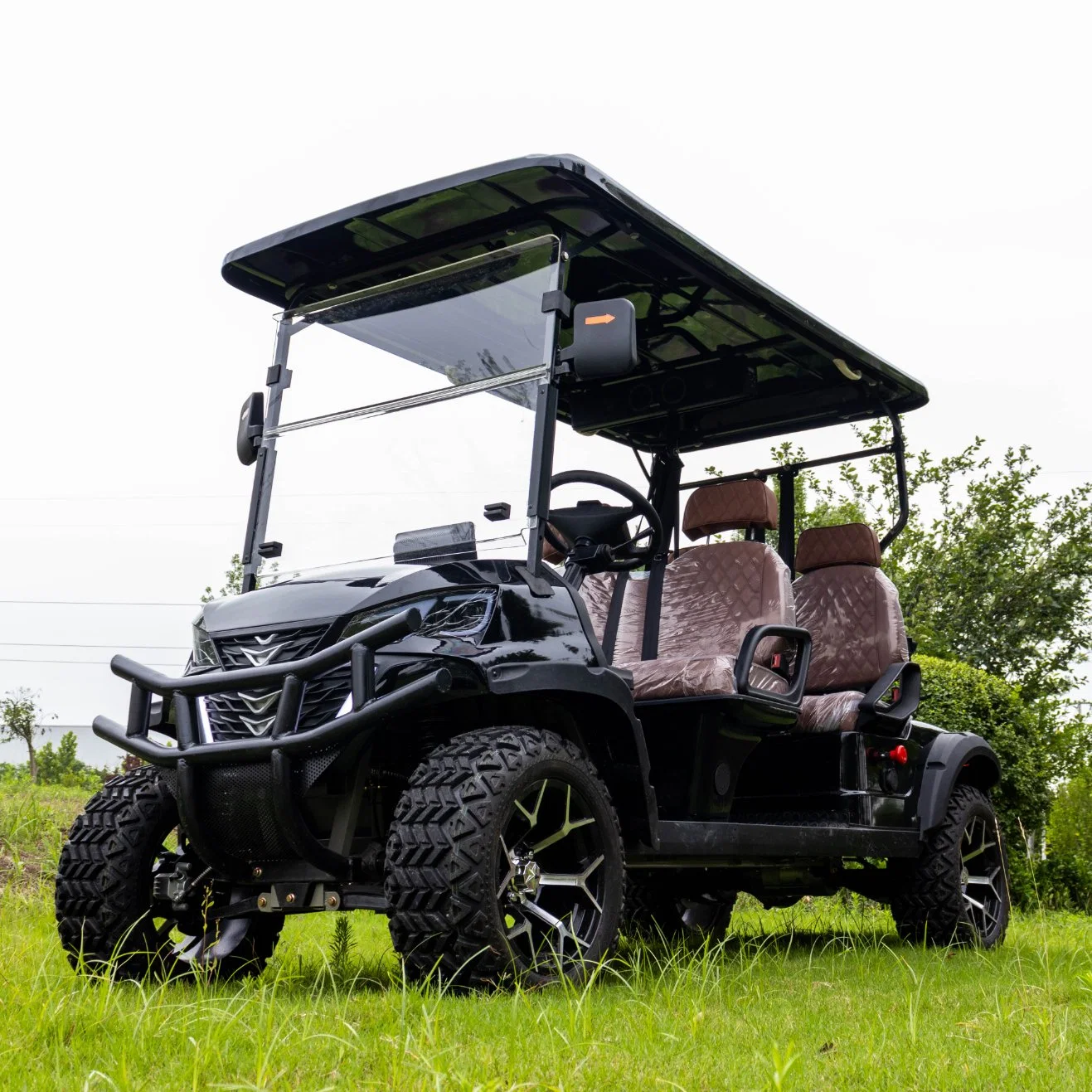 China's Best Cart High Speed 2+2 Seater Electric Street Legal Golf Cart off-Road Golf Cart