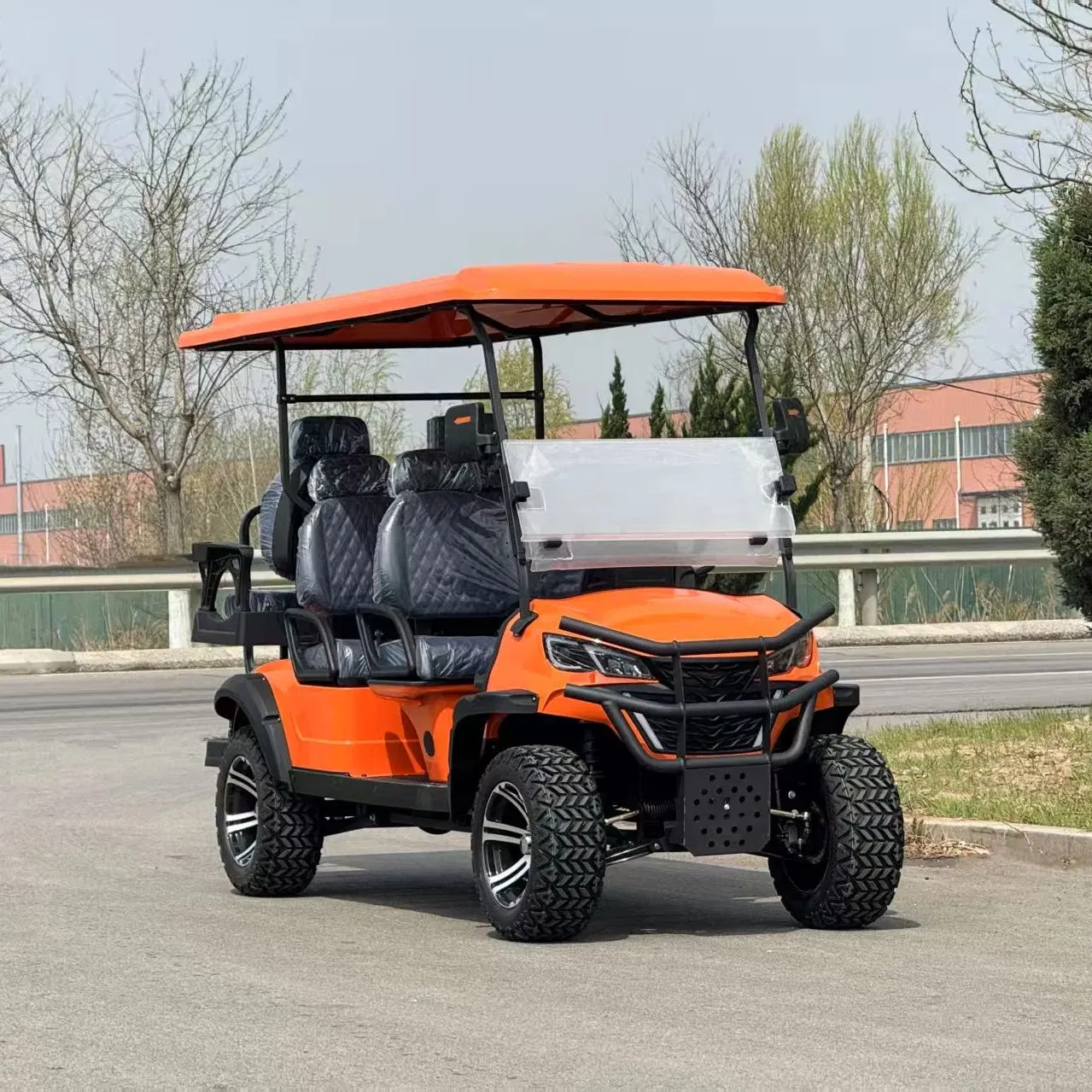 Eco-Friendly Lithium Golf Buggy: Low-Speed Energy-Saving for Senior Daily Mobility