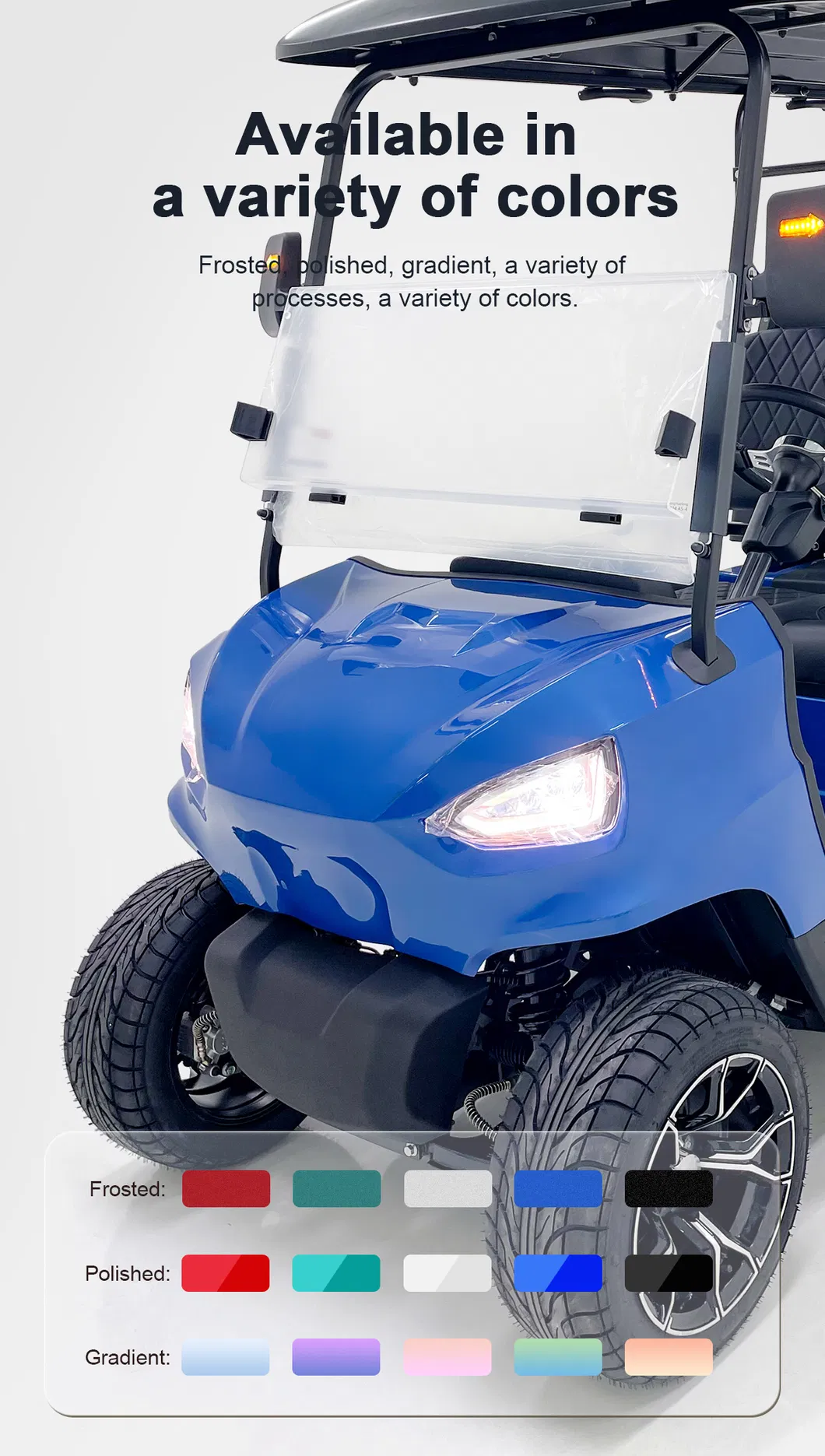Electric Golf Cart 4