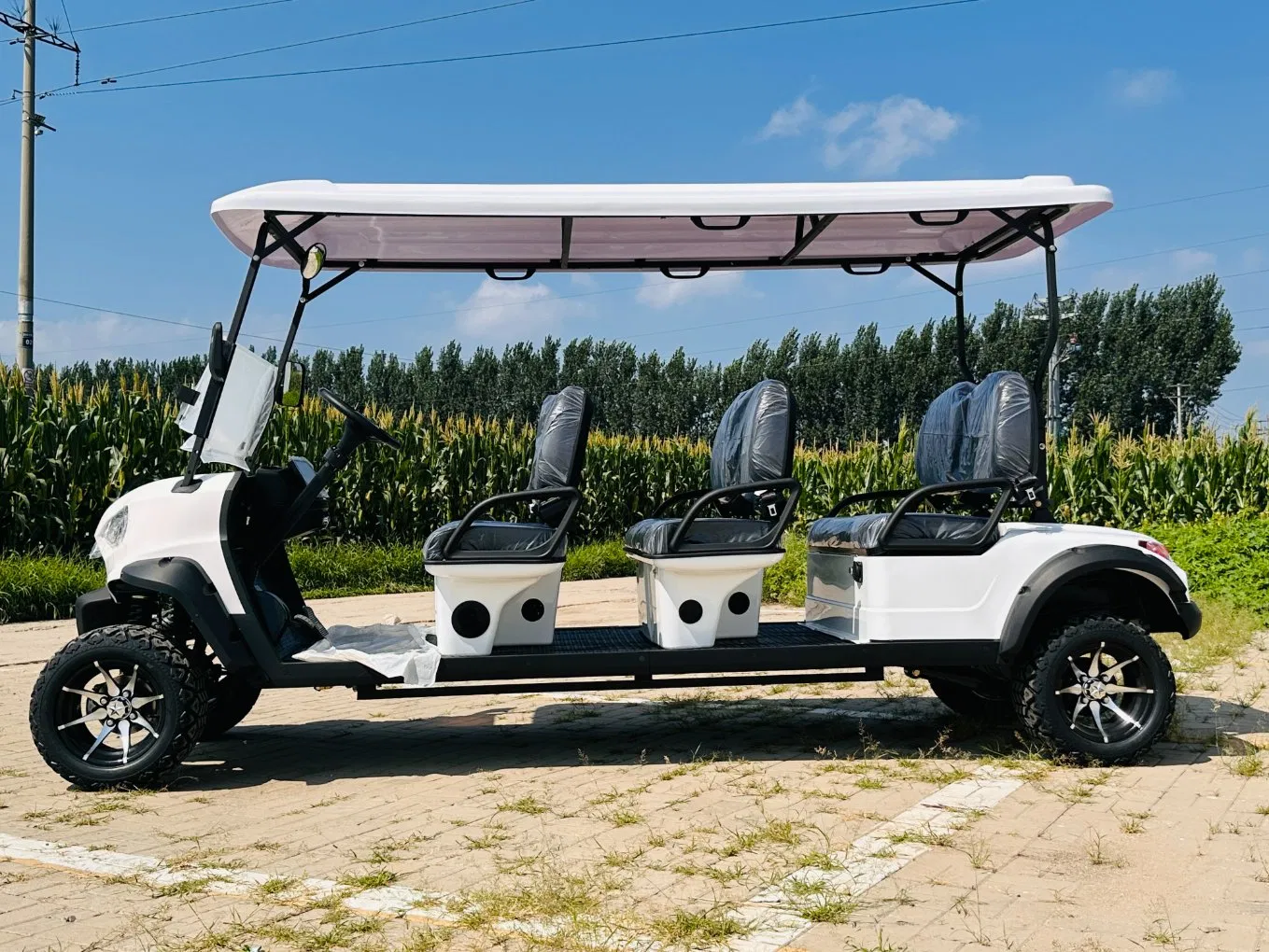 6-Seater Electric Golf Cart for Resort &amp; Community Shuttle