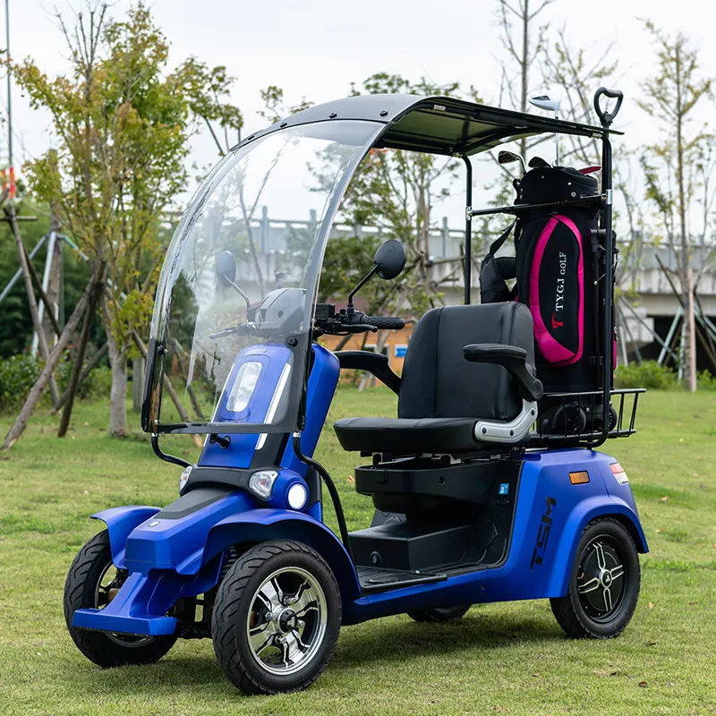 Electric Golf Cart View 6
