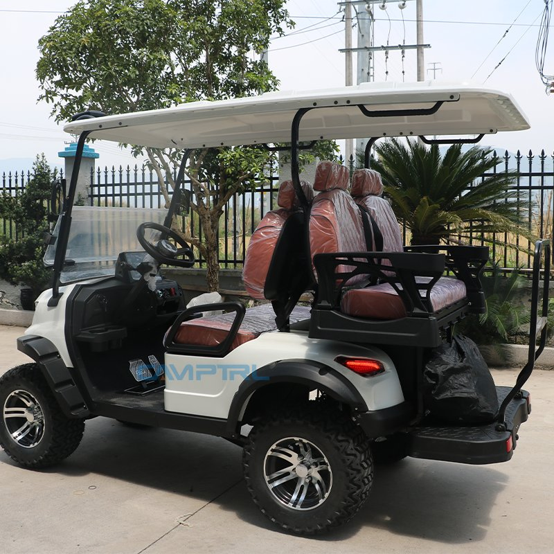 Custom Luxury 6-Passenger Electric Golf Cart with Lithium Battery
