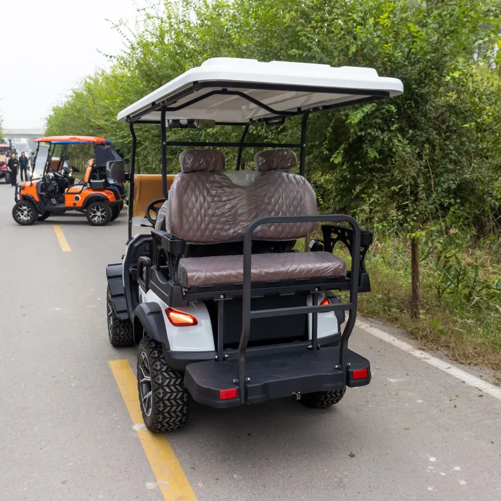 Custom Confortable Mini Small Cart 4 Seats 4 Passengers Electric Lifted Luxury Golf Cart with Lithium Battery