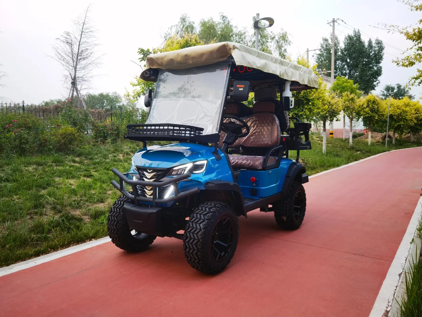 2+2 Seat Electric Golf Cart for Resort Shuttle and Utility Use