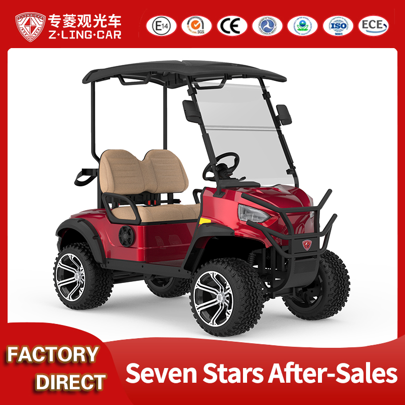 Compact Folding 2-Seater Electric Golf Cart for off-Road Adventures