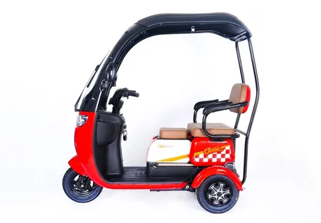 Electric Tricycle Design