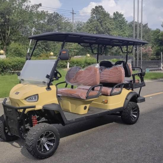 Daod Factory Direct 4+2 Seater Electric Golf Cart Bulk Order Customization for Resort and Hotel Shuttle