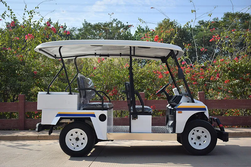 Security Guard Golf Cart Patrol View 10