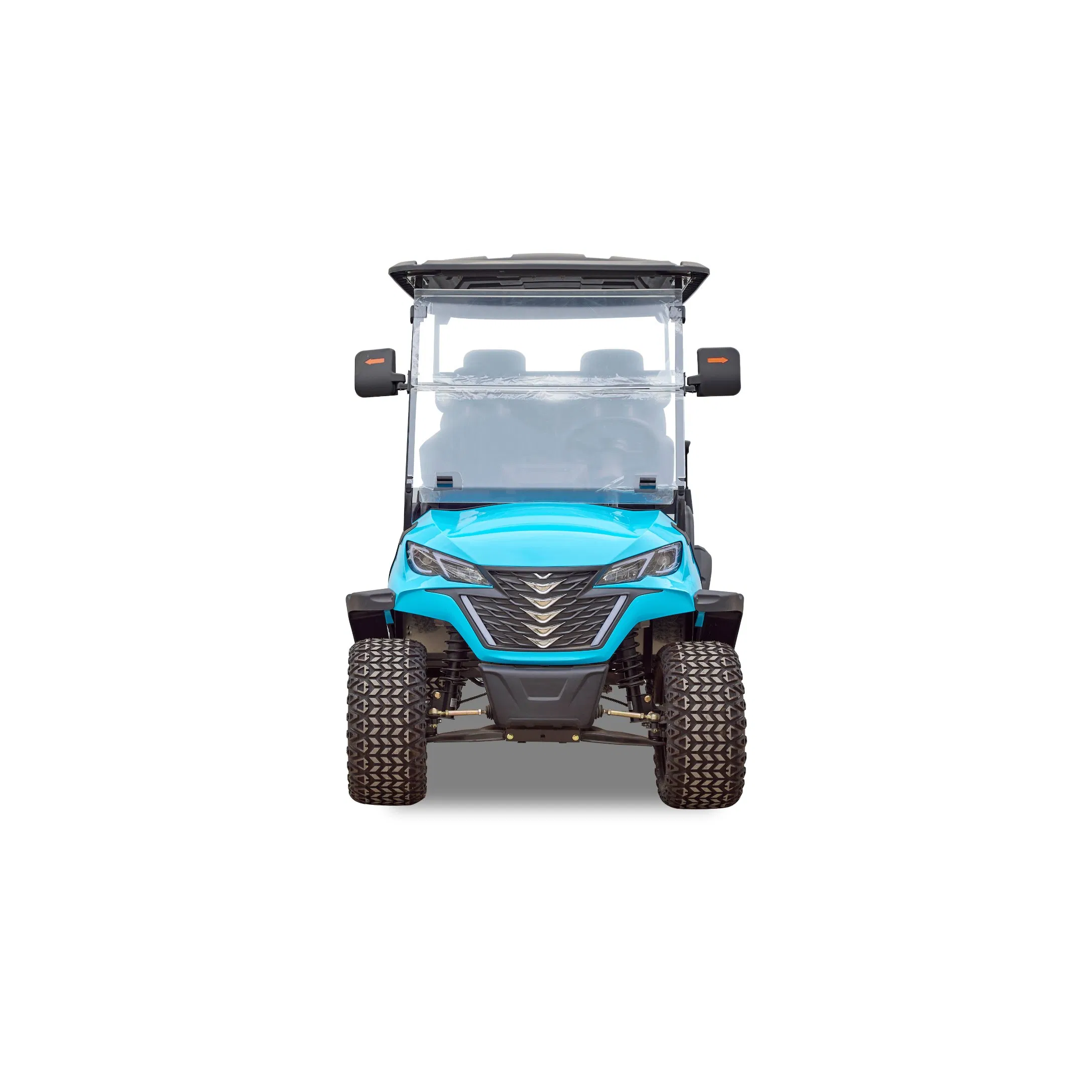 All-Weather Electric Golf Cart for Various Weather Conditions with Fully Enclosed Cabin