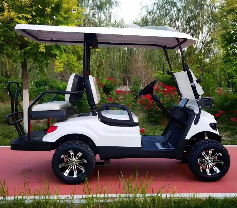 Sdlanch Buy New Mini Community 30 Mph 6 Seater Power Golf Car Cart Buggy with Foldable Rear Seat