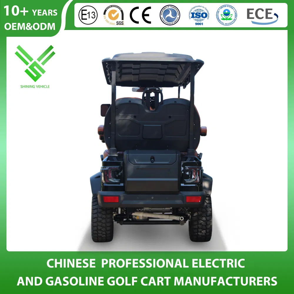 Shininglsv China Imported Advanced Luxury Custom Golf Cart