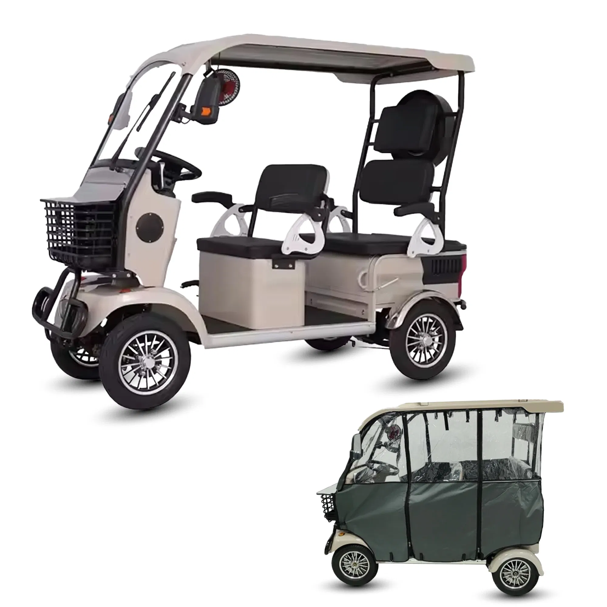Hld 800W Electric Rickshaw Mobility Vehicle for Senior with Canopy
