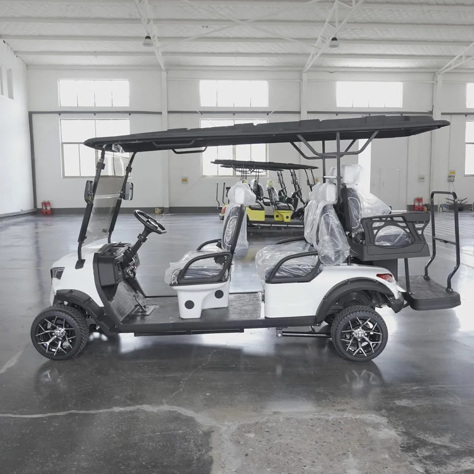 6 Seat Golf Cart White