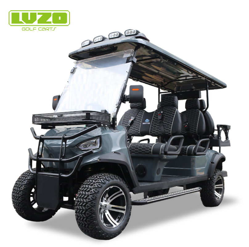 Carro Golf Cart Factory Hunting Buggy 2/4/2+2/6/4+2/8 Seater/Seat Forward Club Car 48V/72V Electric Utility Sightseeing Car Offroad Cart with Ice Bucket San