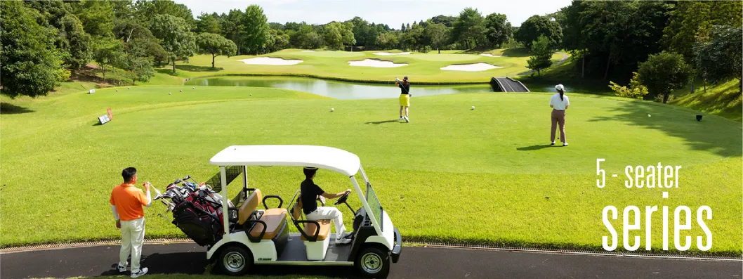 Electric Golf Cart Intro