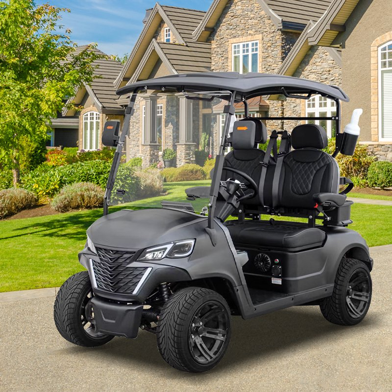 Customize High-Speed 25 Km/H Electric Golf Cart for Cart Distribution