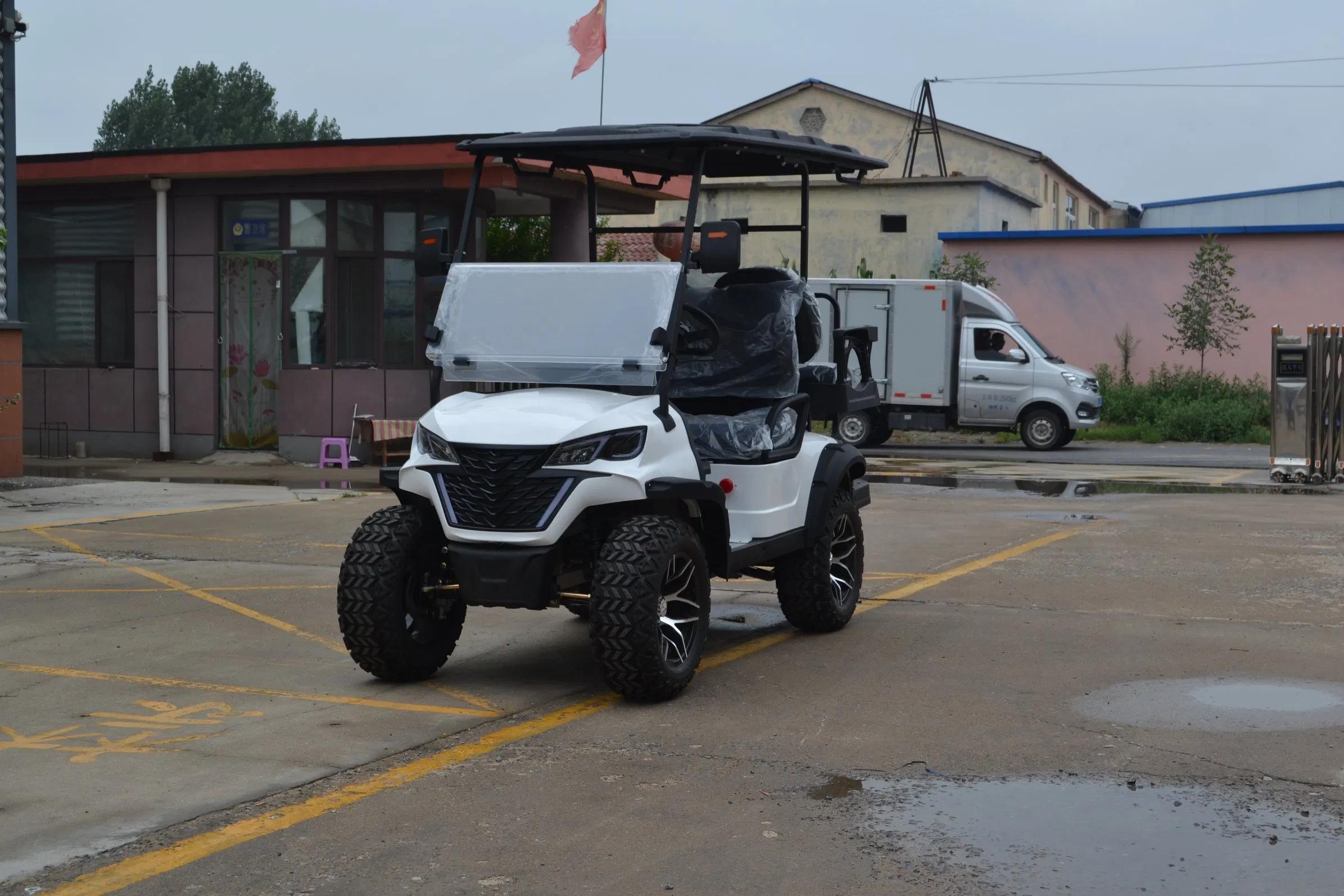 Winner Golf Cart Manfuacturer Lithium 48/72V Utility Mini 2/4/6/8 Seater/Passenger Street Legal Solar Electric/Gasoline Cart