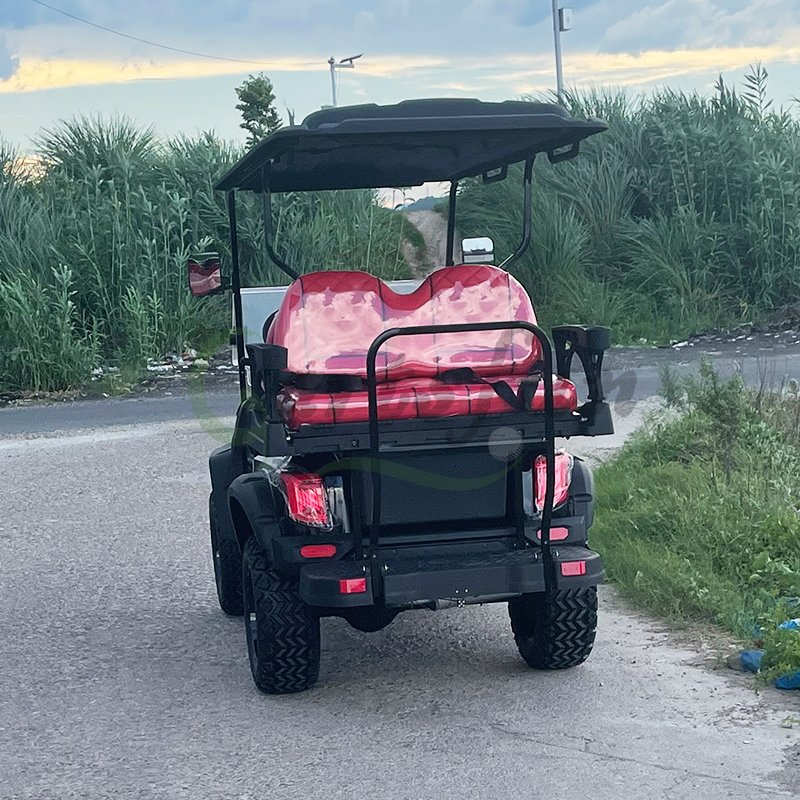 2024 Utility Vehicle Golf Cart 2-8 Seats 4000-7000W Gasoline 300cc Four Wheel Golf Cart with Folding Seats