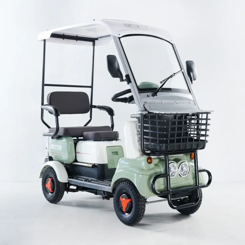 Electric Golf Cart View 1