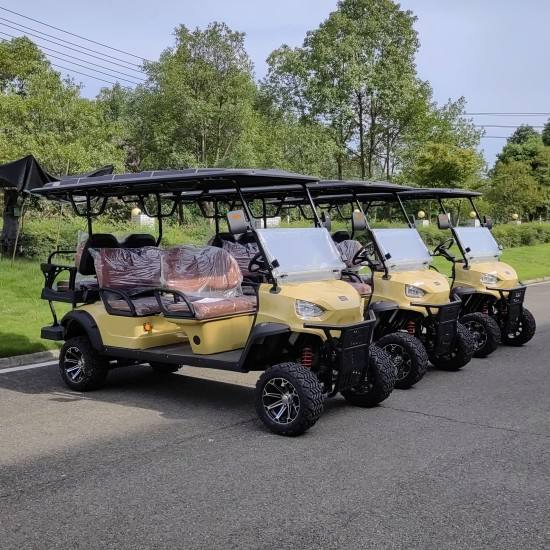 Daod Factory Direct 4+2 Seater Electric Golf Cart Bulk Order Customization for Resort and Hotel Shuttle