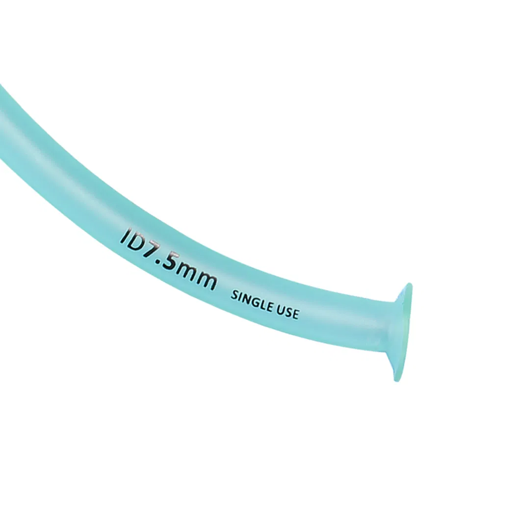 Airway Product View 4