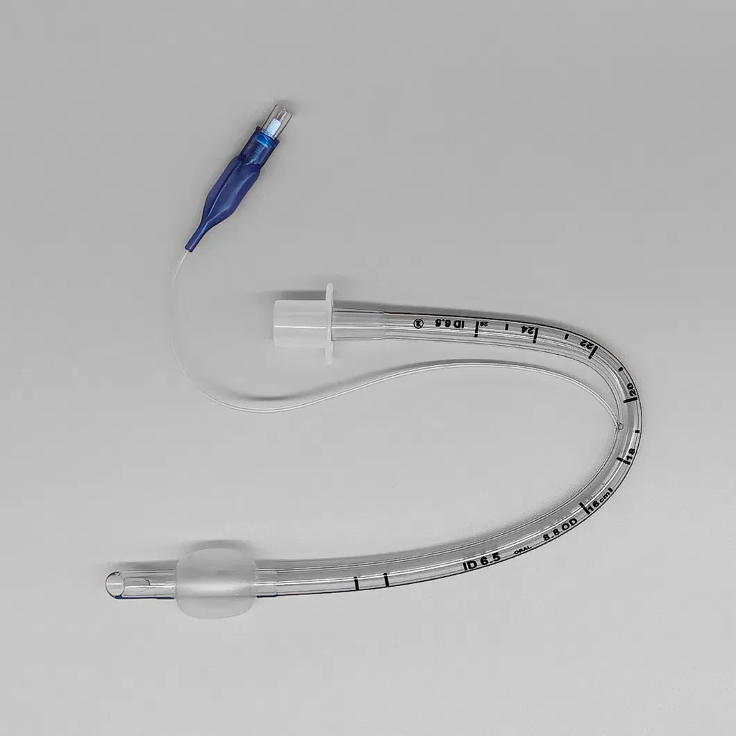 Endotracheal Tube View 3