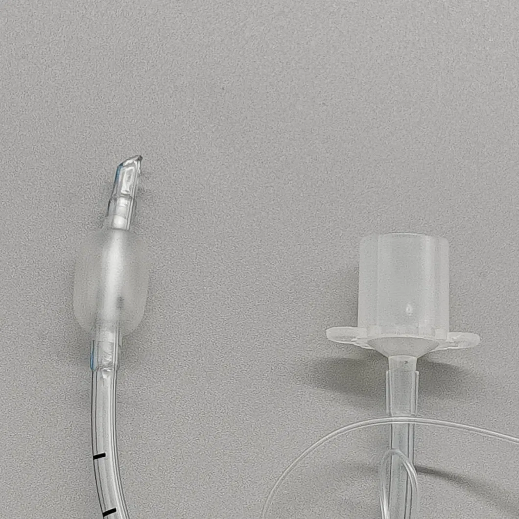 Endotracheal Tube View 5