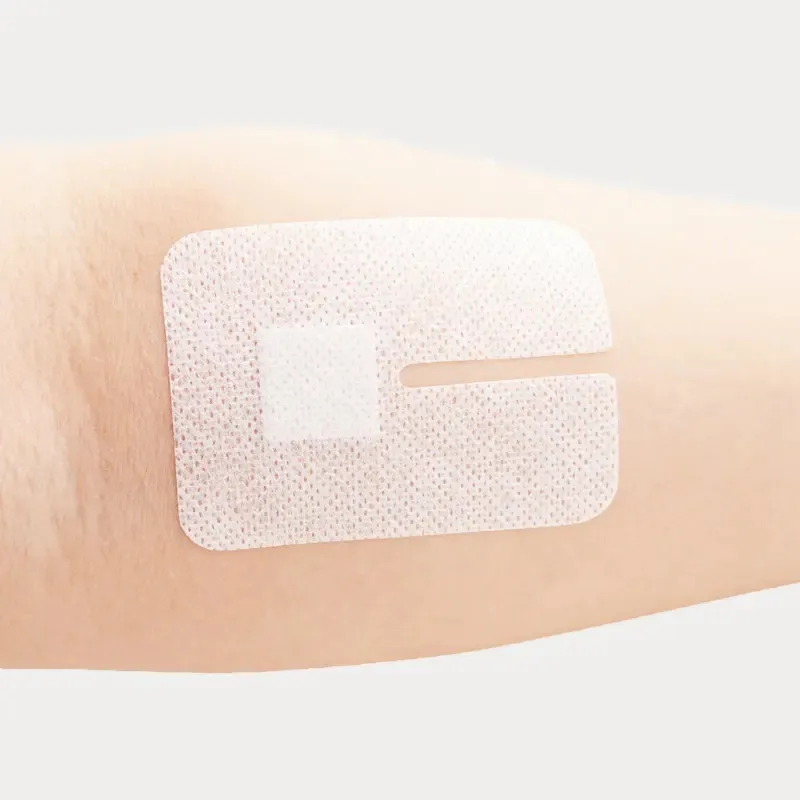 IV Dressing Detail