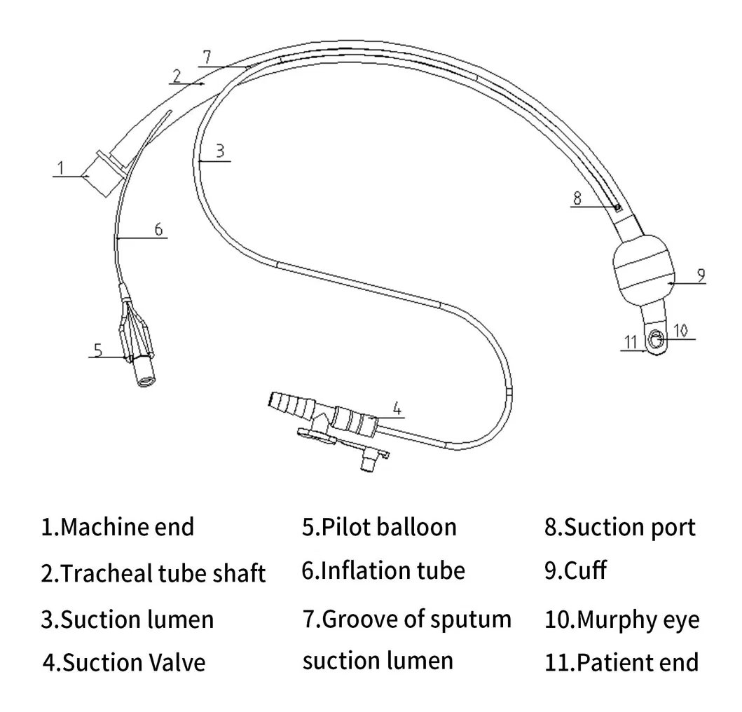 Endotracheal Tube Suction Type