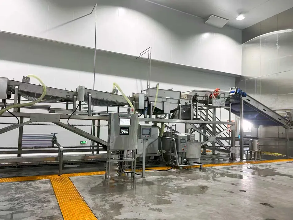 Potato Processing