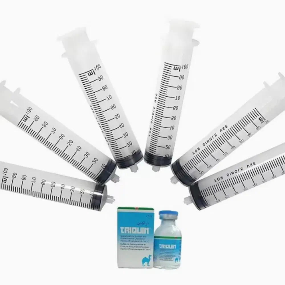 Disposable Tip Caps Syringe Needle Sterile Stainless Steel Veterinary Animal Hypodermic Injection Needles