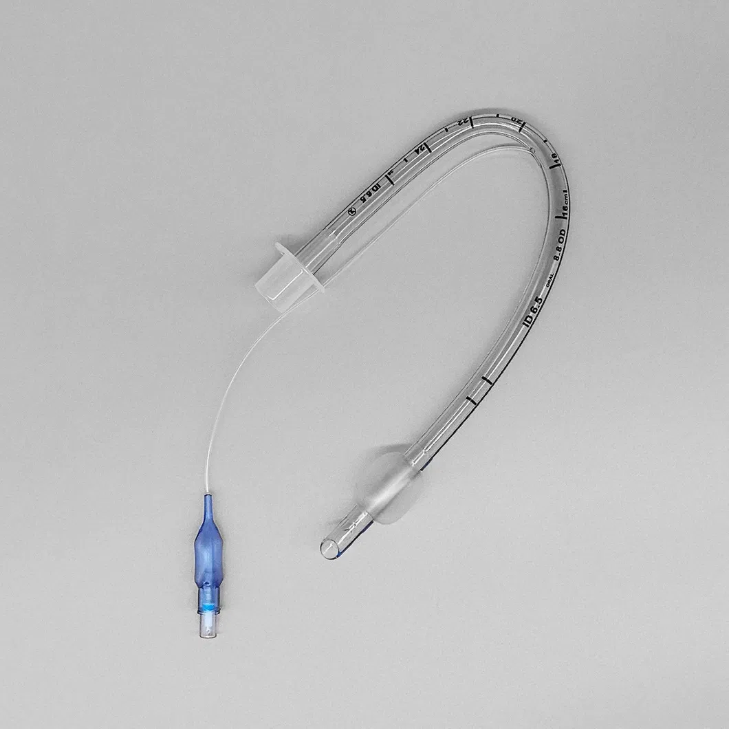 Endotracheal Tube View 1