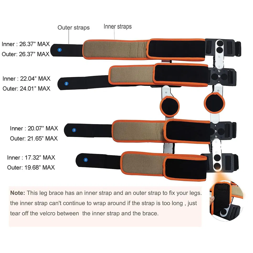 Knee Brace Display 2