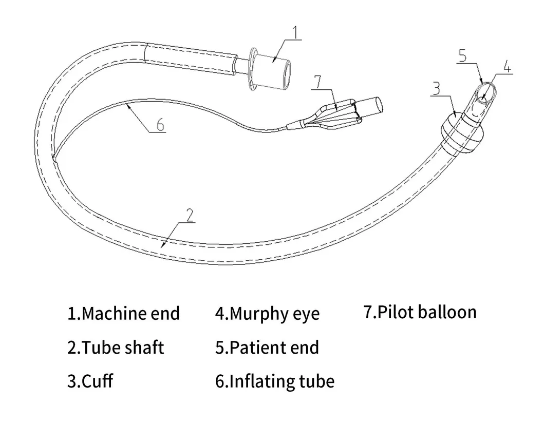 Sterile Preformed Endotracheal Tube
