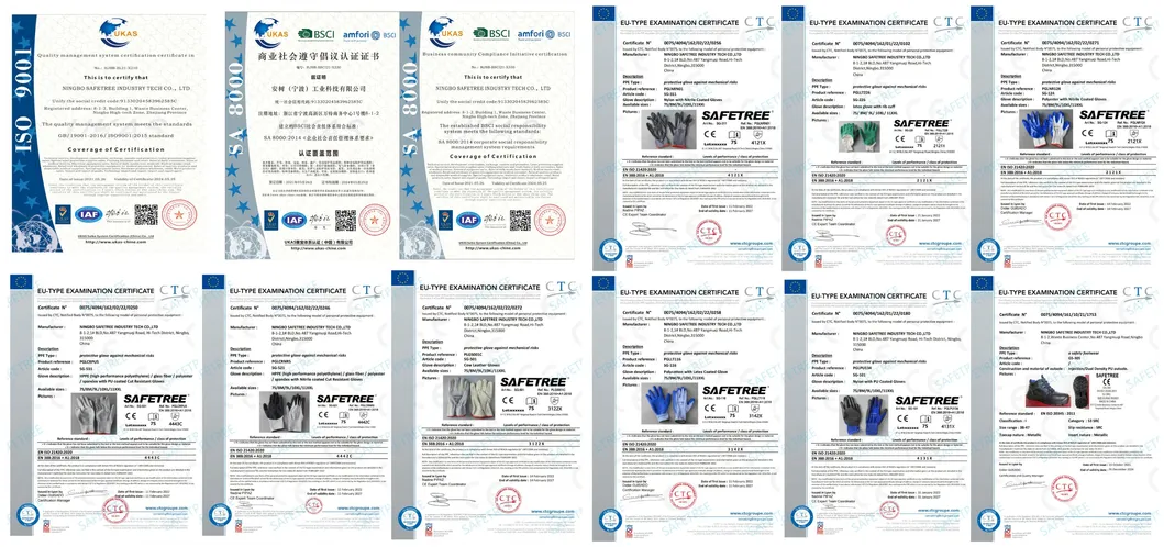 One Stop Service of Personal Protective Equipment PPE Safety Equipment From Head to Toe
