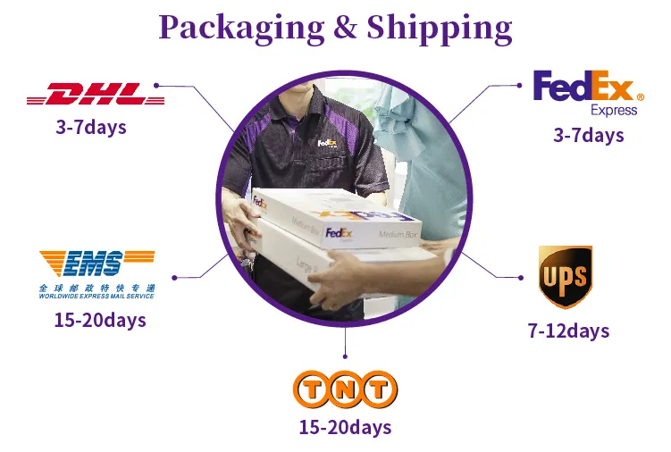 Shipping Logistics