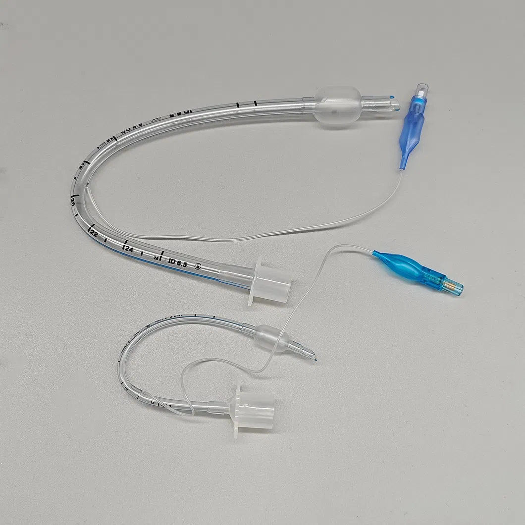 Endotracheal Tube View 4
