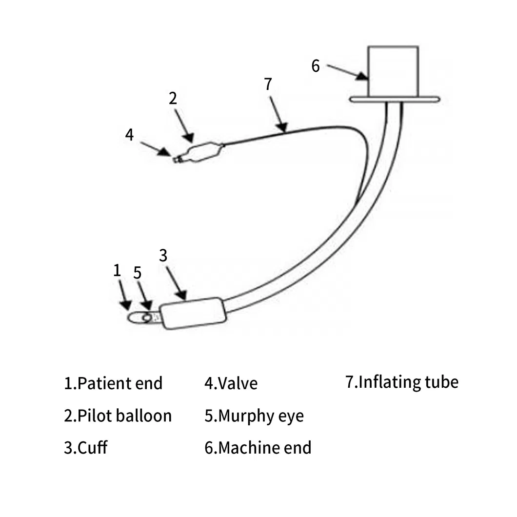 Endotracheal Tube Description