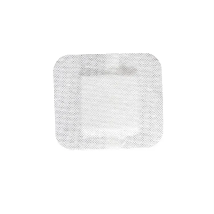 Medical Dressing View 2