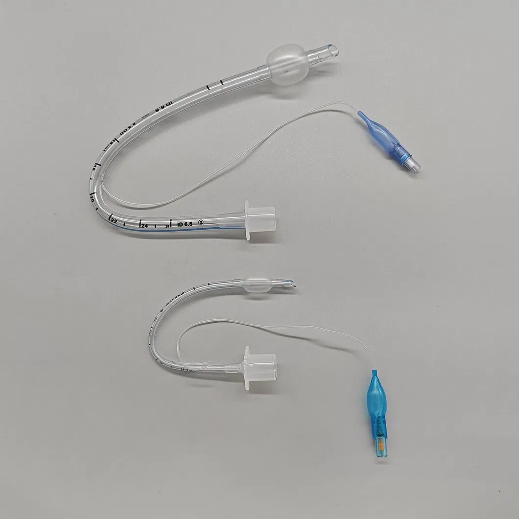 Endotracheal Tube View 2