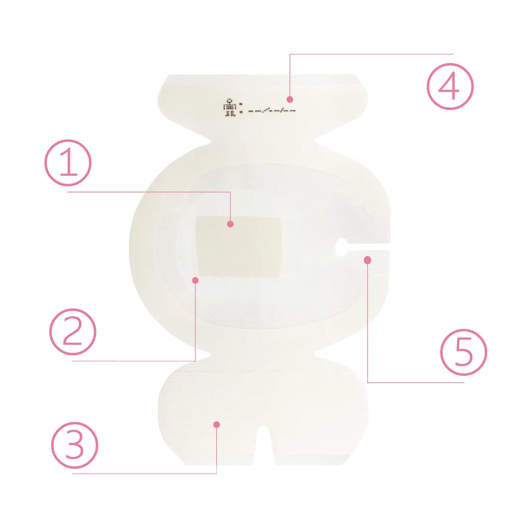 CHG IV Dressing Features