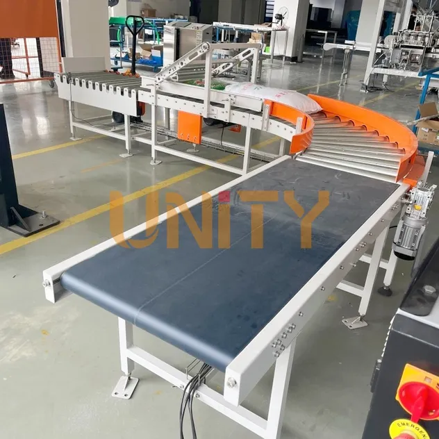 Bag reverse conveyor