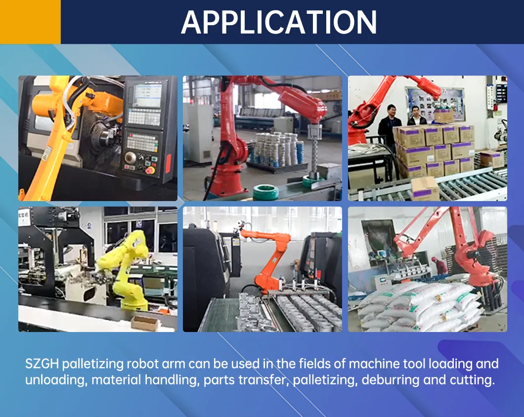 Advanced Automatic Screw Robot Arm for Heavy Payloads Details Diagram 2