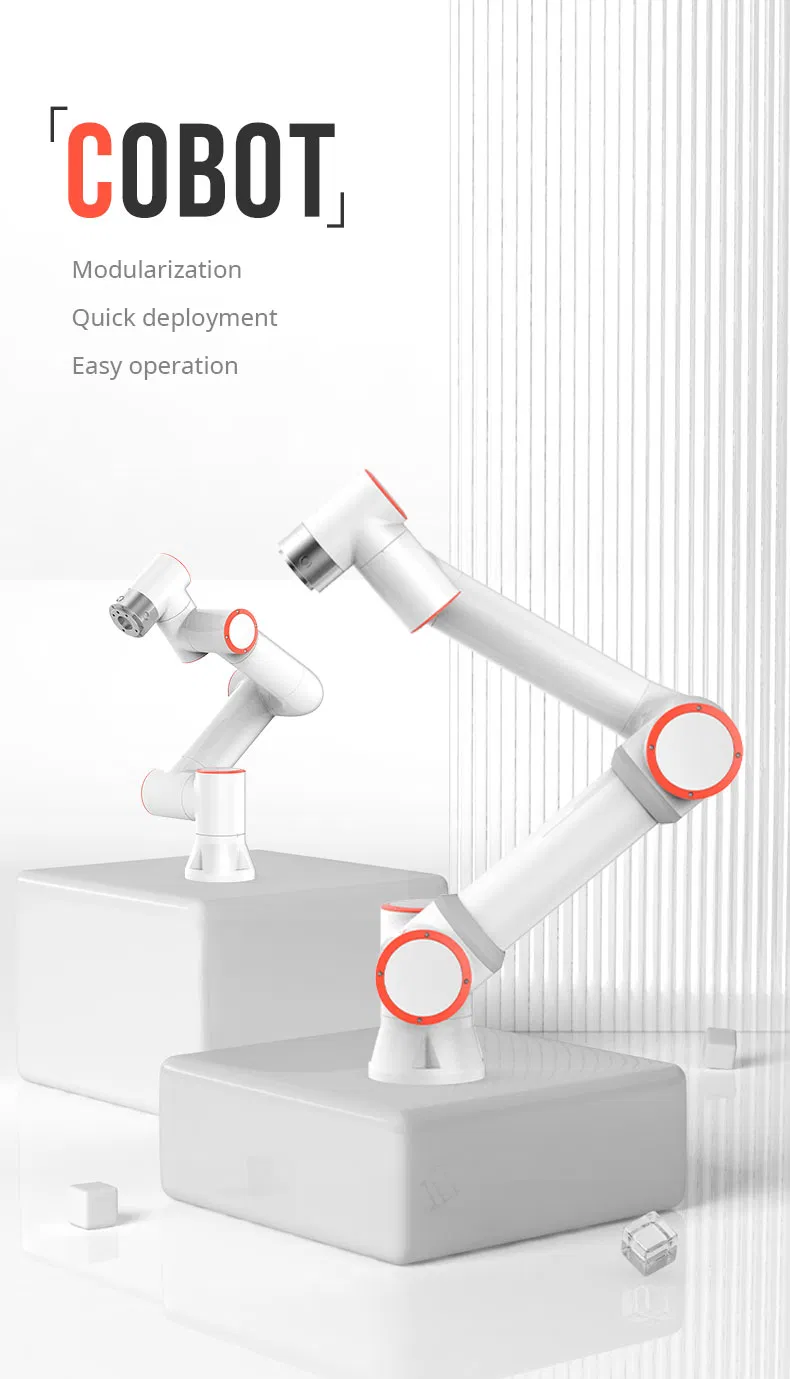 6 Axis Robot Arm 1